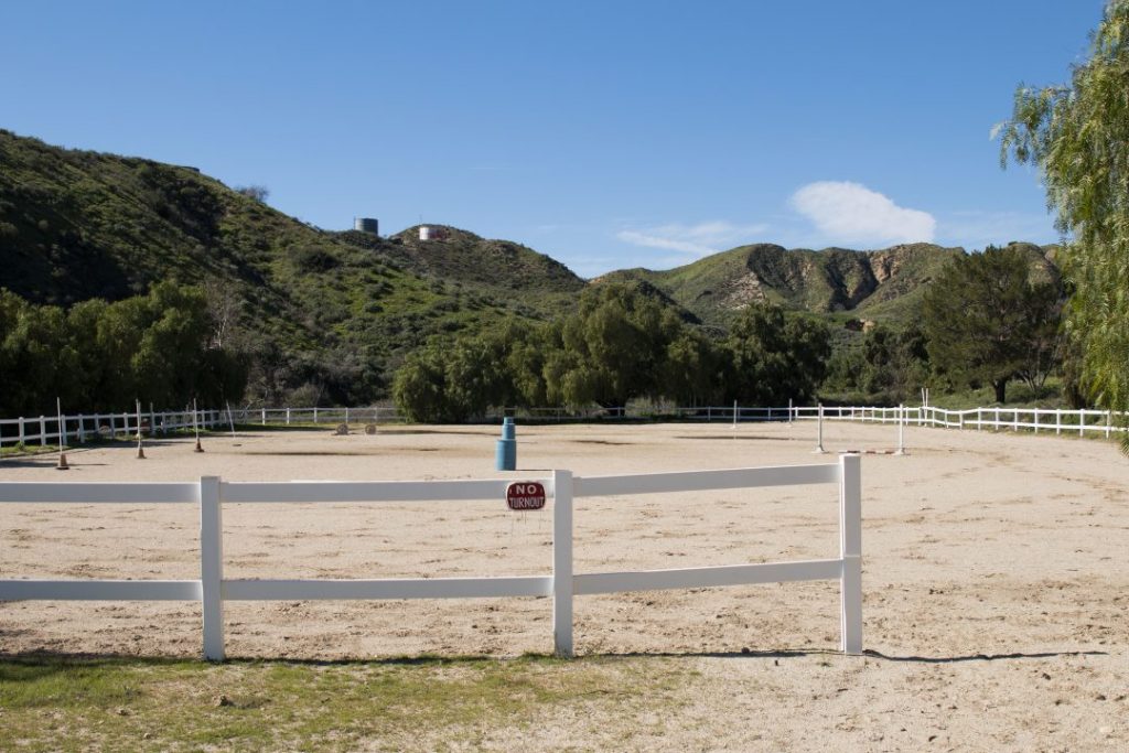 round pen for horse training