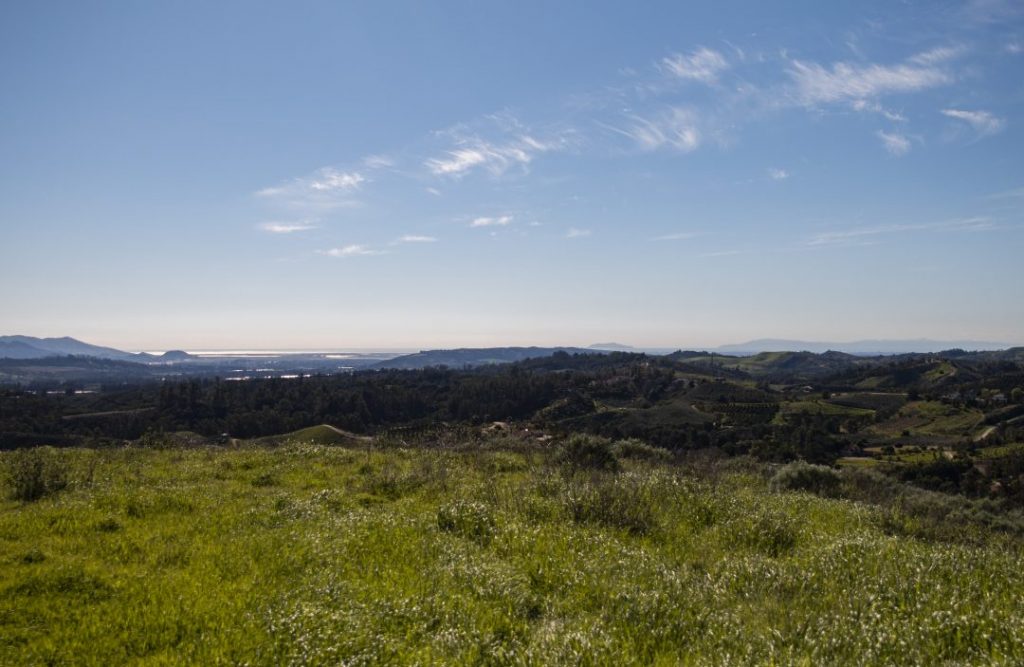 eastern ridge of property with views of ocean
