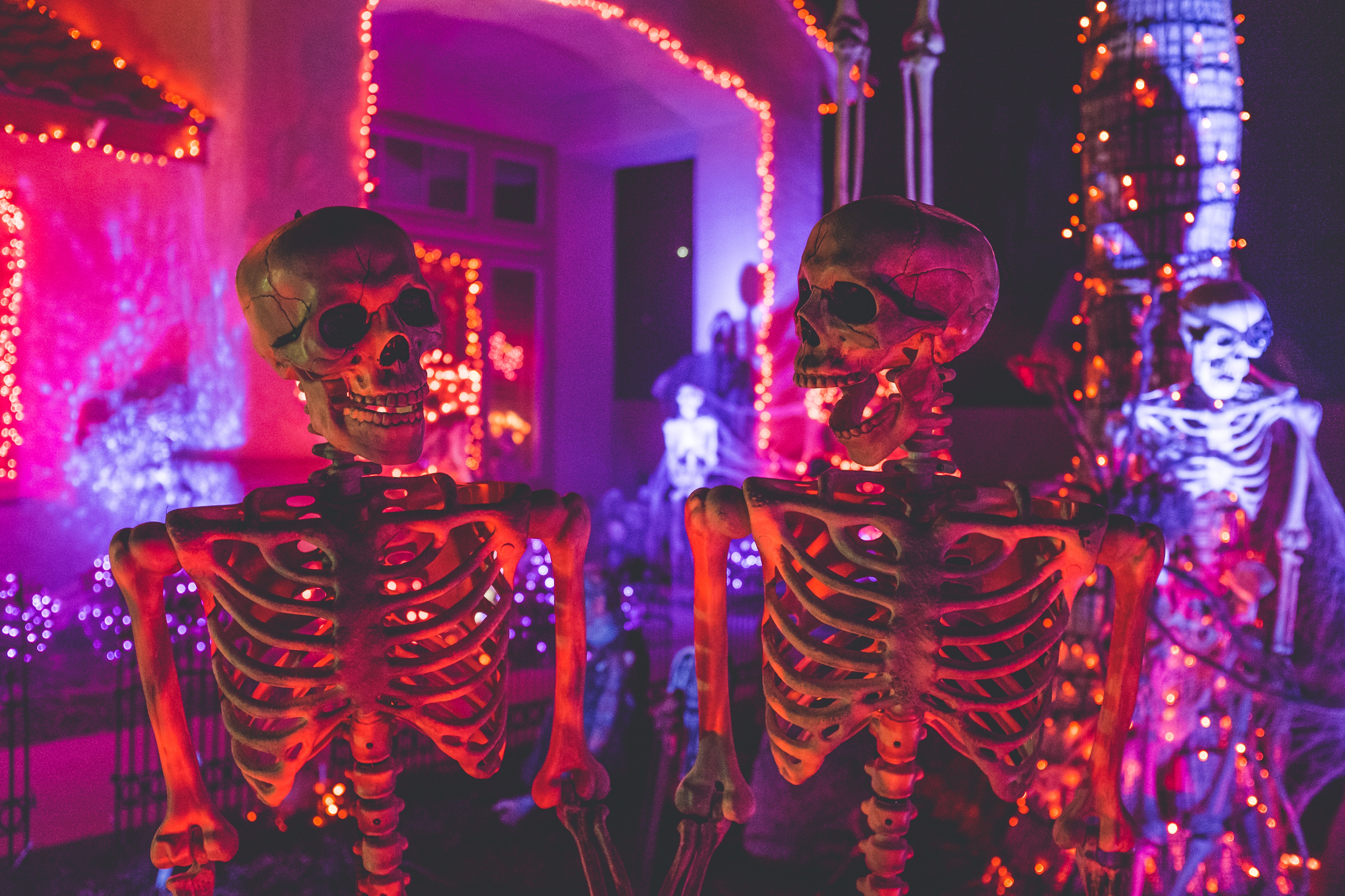neon skeletons with lights for halloween