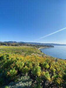 The Malibu Podcast | Malibu Real Estate Update, Spring 2023